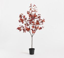 Open Box: Red Turning Maple Leaf Tree