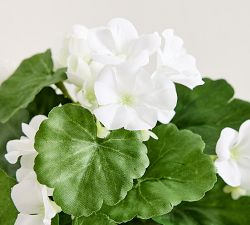 Faux Potted Geranium