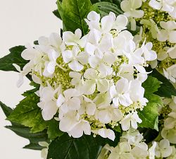 Faux White Lace Hydrangea Bundle