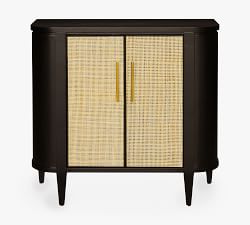 Avaya Cane Storage Cabinet