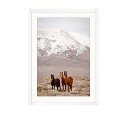 Wild Ones by Meg Haywood Sullivan