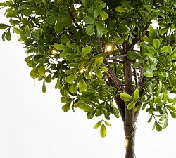 Lit Faux Boxwood Topiary