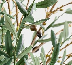 Faux Composed Olive Budding Bundle