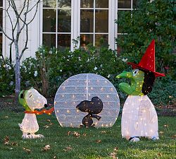 Peanuts™ Great Pumpkin Lit Decor