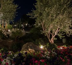 Puck LED Outdoor WiFi Timer Landscape Lights