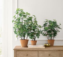 Faux Potted Citronella