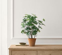 Faux Potted Citronella