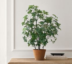 Faux Potted Citronella