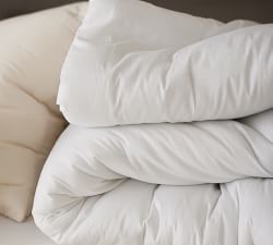 Dream Brushed Cotton Sateen Comforter