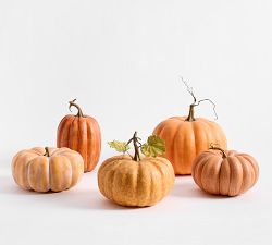 Faux Pumpkins &amp; Gourds - Set of 5