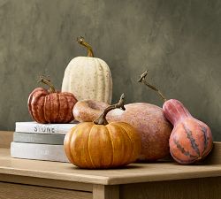 Faux Pumpkins &amp; Gourds - Set of 5