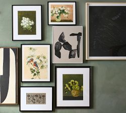 Floral Etching Framed Print