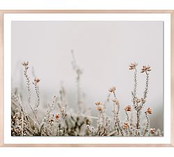 In The Details II Framed Print By Annie Spratt