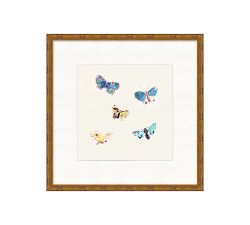 Butterfly Flurry Framed Print