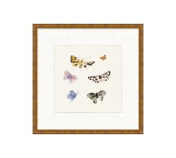 Butterfly Flurry Framed Print