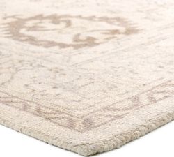 Alek Performance Rug