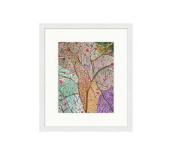 FLORA Japanese Magnolia Only Exists in My Mind by Nancy Mayer Allan