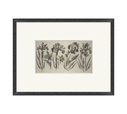 Floral Etching Framed Print