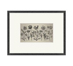 Floral Etching Framed Print