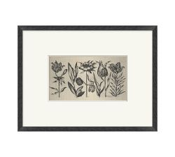 Floral Etching Framed Print