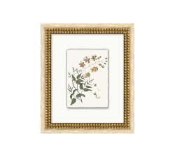 Vintage Botanical Framed Print