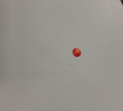 Open Box: Huntington Wicker Swivel Papasan Outdoor Lounge Chair with Cushion - Natural