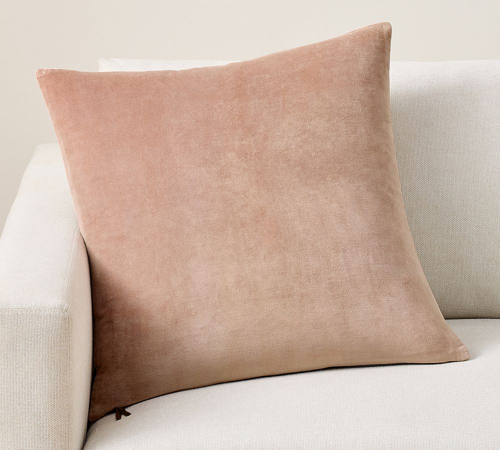 Icon Velvet Pillow