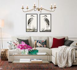 Spotted Heron Framed Prints