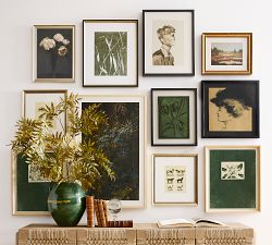 Miss Molly Framed Print