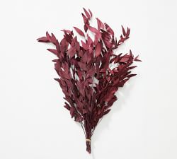 Dried Burgundy Eucalyptus Bundle