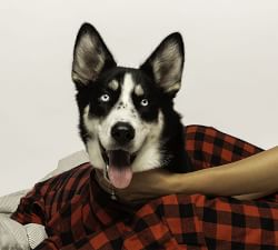 Matching Plaid Pet Pajamas