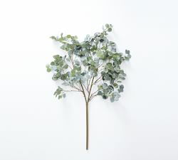 Pottery Barn Eucalyptus Branch - Thumbnail 2