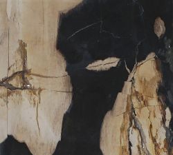 Petrified Wooden Box