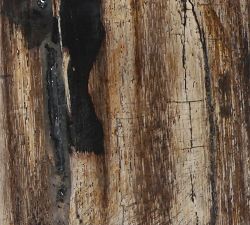 Petrified Wooden Box