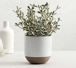 Quinn Stoneware Outdoor Planters