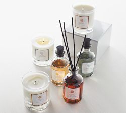 Apothecary Diffuser Collection - Palo Santo
