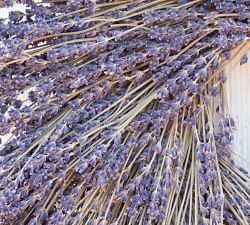 Dried Lavender Wreath