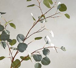 Faux Silver Dollar Eucalyptus Branch