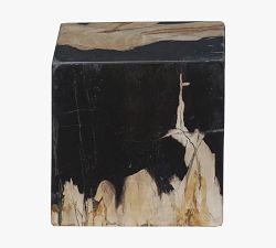 Petrified Wooden Box