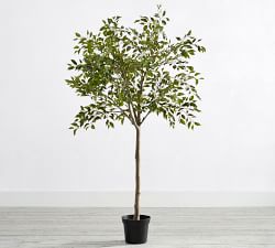 Faux Potted Triangular Ficus