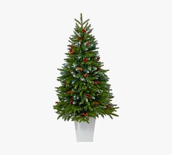 Potted Snow Tipped Portland Spruce Artificial Christmas Tree