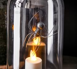 Halloween Spider Cloche