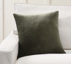 Everywhere Velvet Pillow