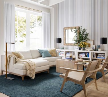 Theo Folsom Living Room