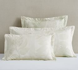 Fern Organic Percale Sham