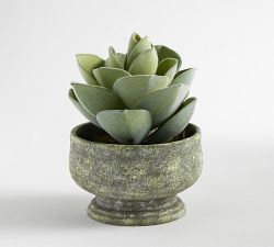 Faux Atlantis Faux Succulent Bowl