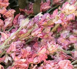 Dried Pink Harmony Wreath