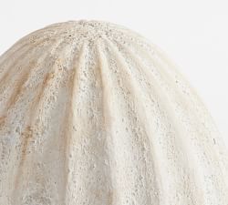 Weathered Rustic Eggs