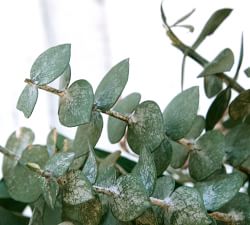 Dried Pink Harmony Wreath
