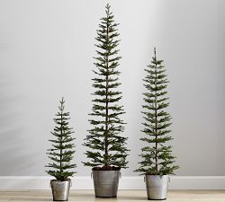Pre-Lit Pine Trees in Galvanized Bucket